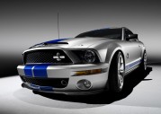 Shelby Cobra GT500 Show Car